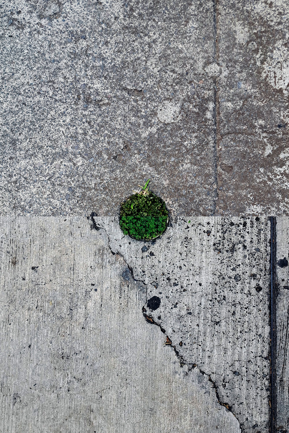 Poles, fragmented
