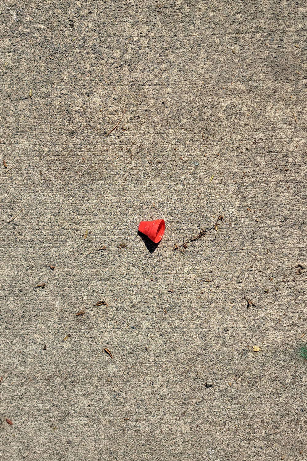 Flower, litter