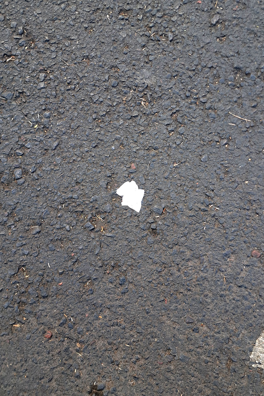 Flower, litter
