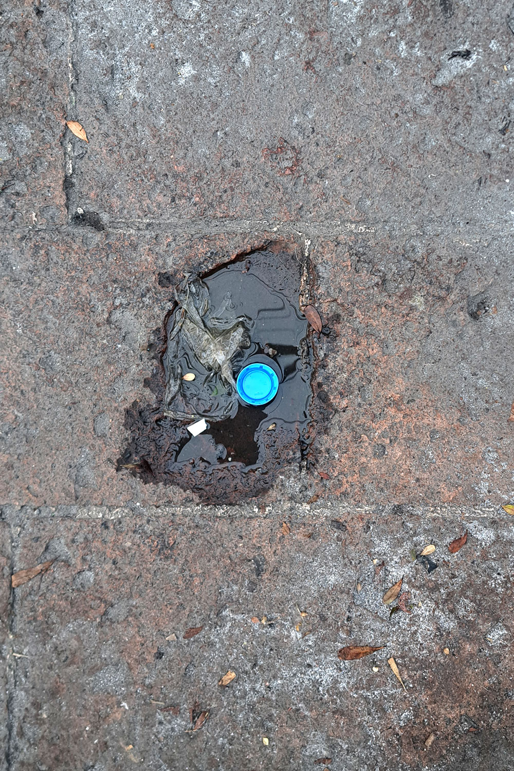 Flower, litter