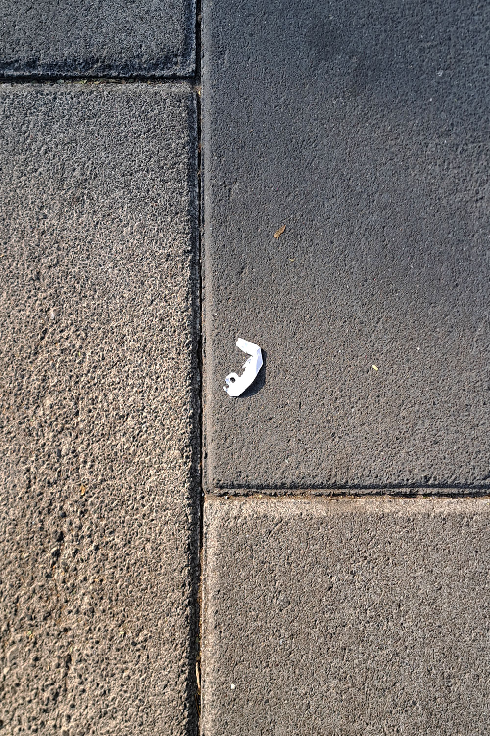 Flower, litter