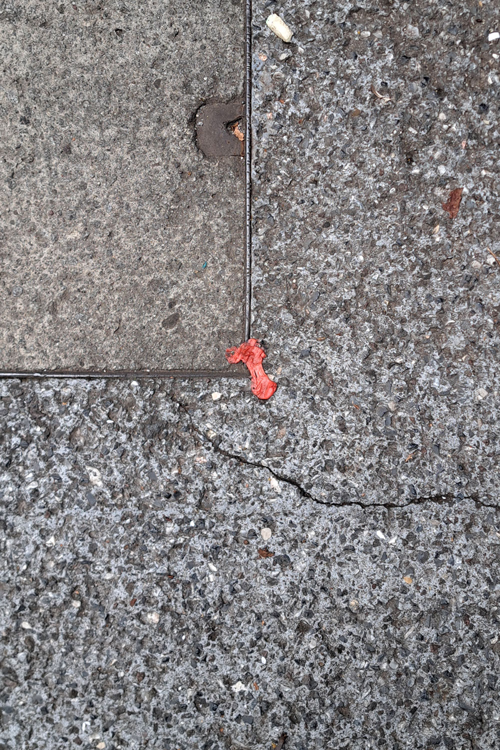 Flower, litter