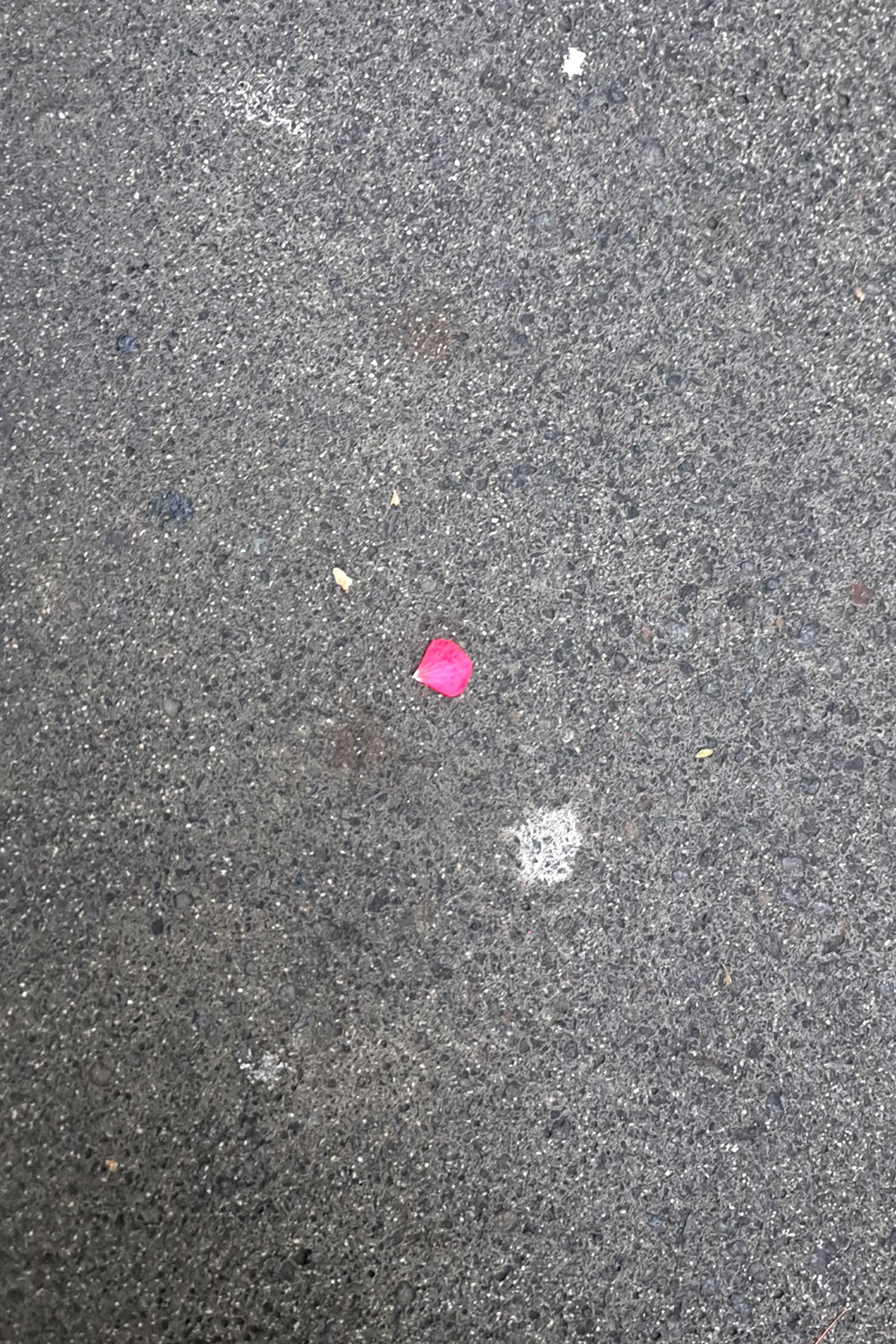 Flower, litter
