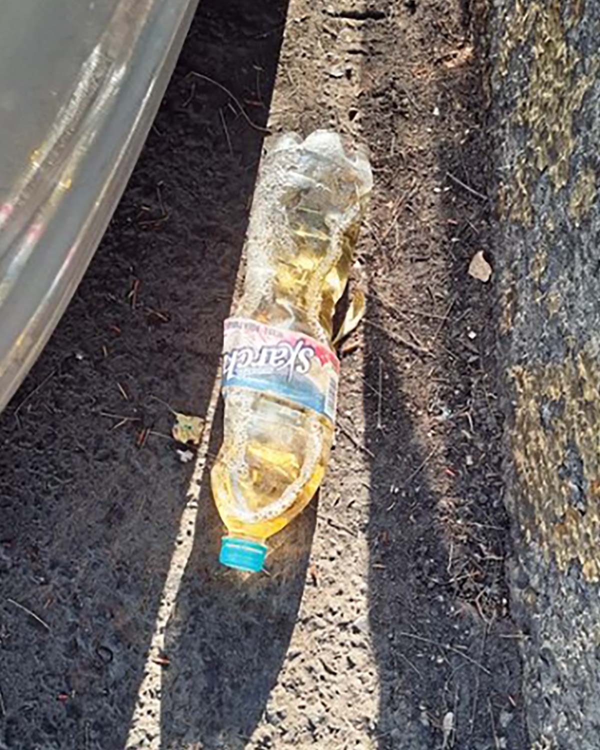 Pee bottles (Ananas)