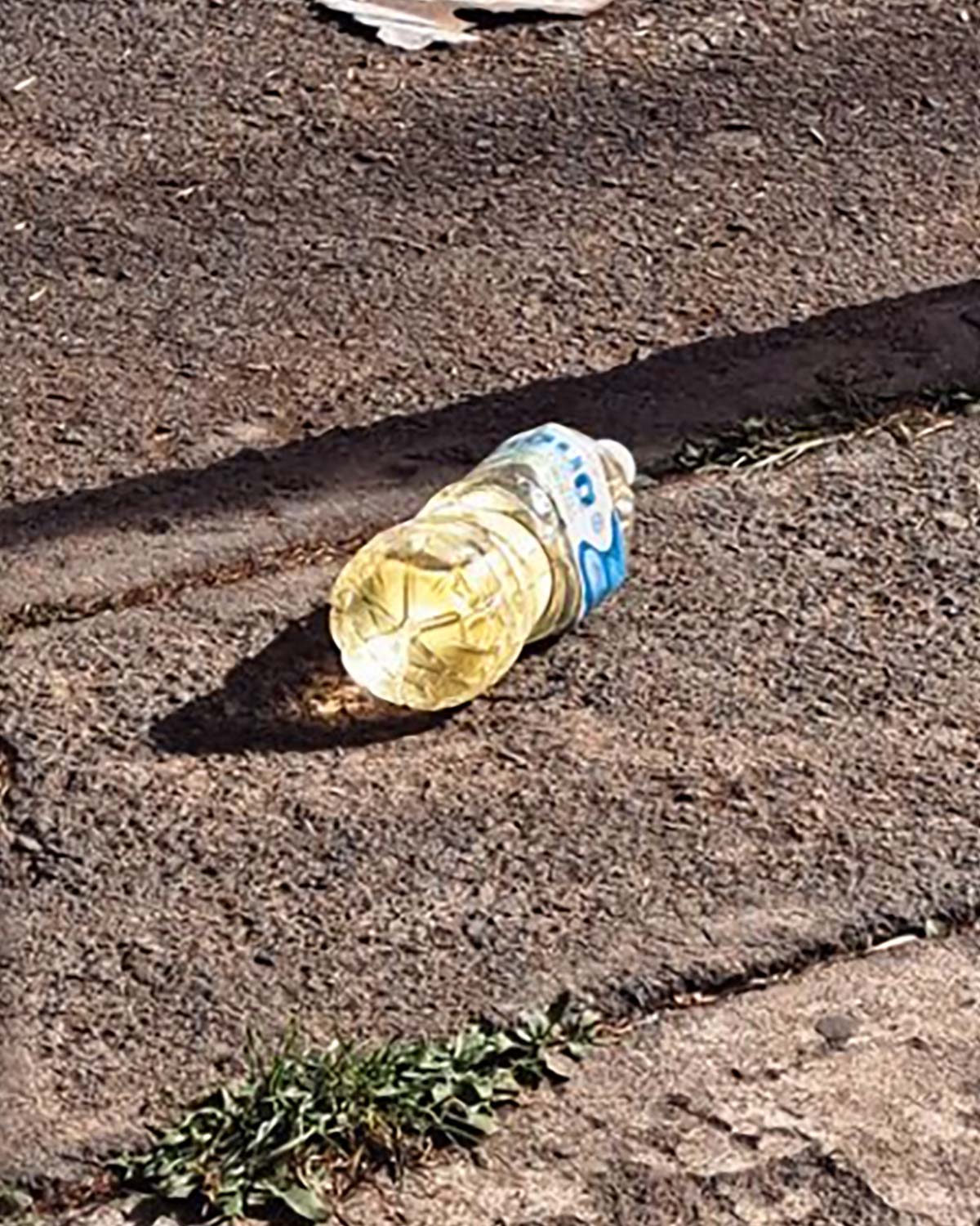 Pee bottles (Ananas)