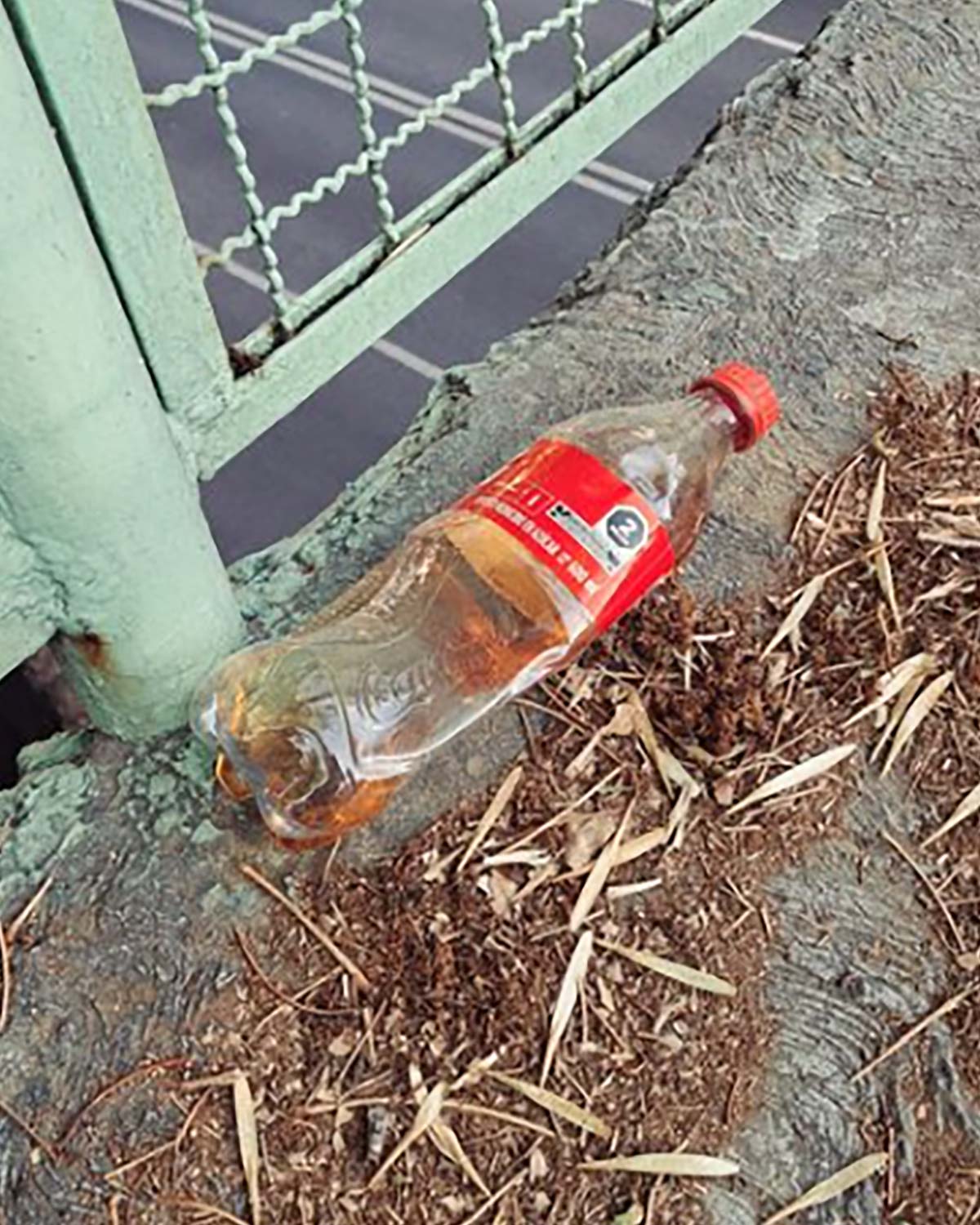 Pee bottles (Ananas)