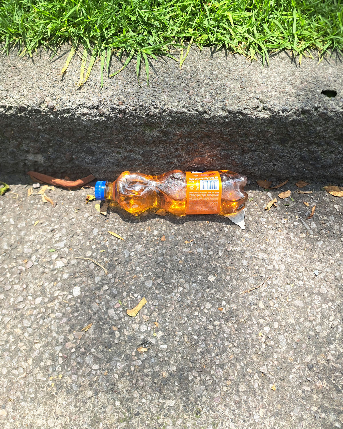 Pee bottles (Ananas)