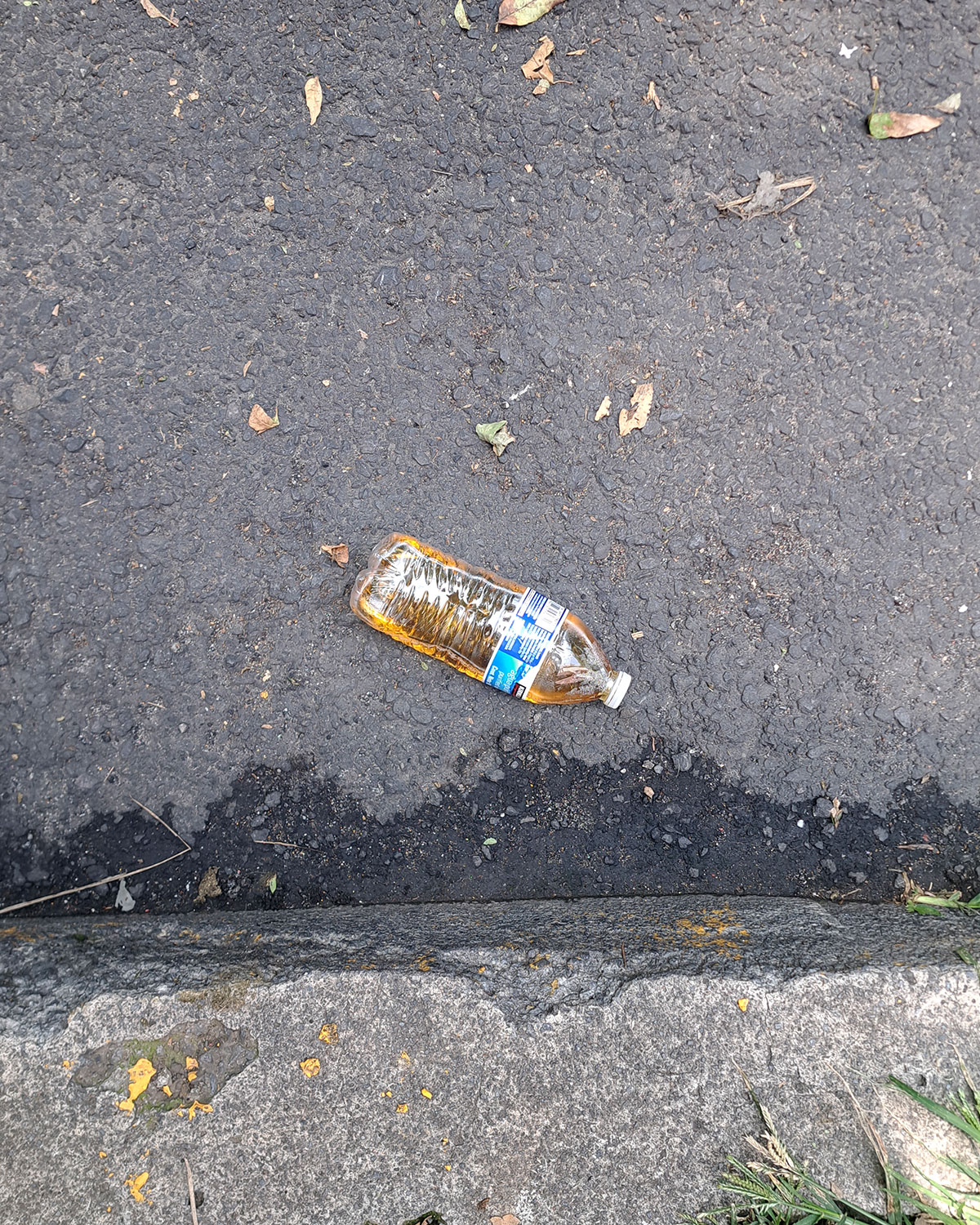 Pee bottles (Ananas)