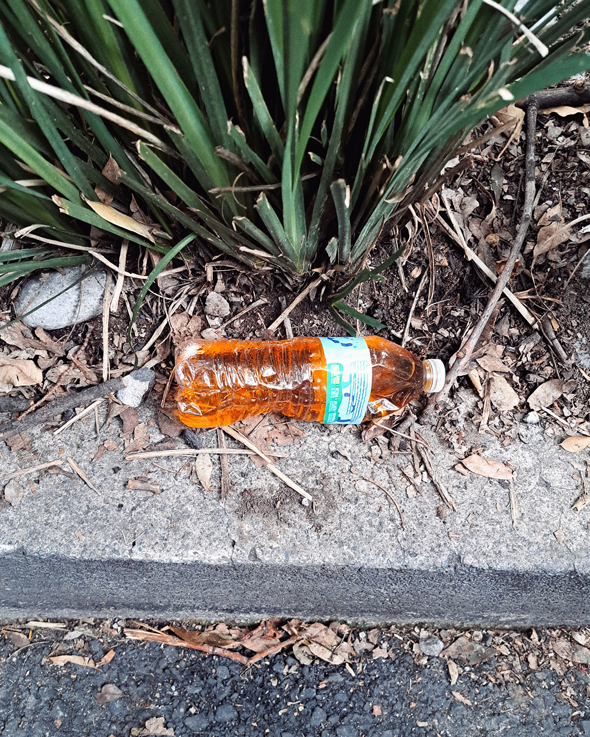Pee bottles (Ananas)