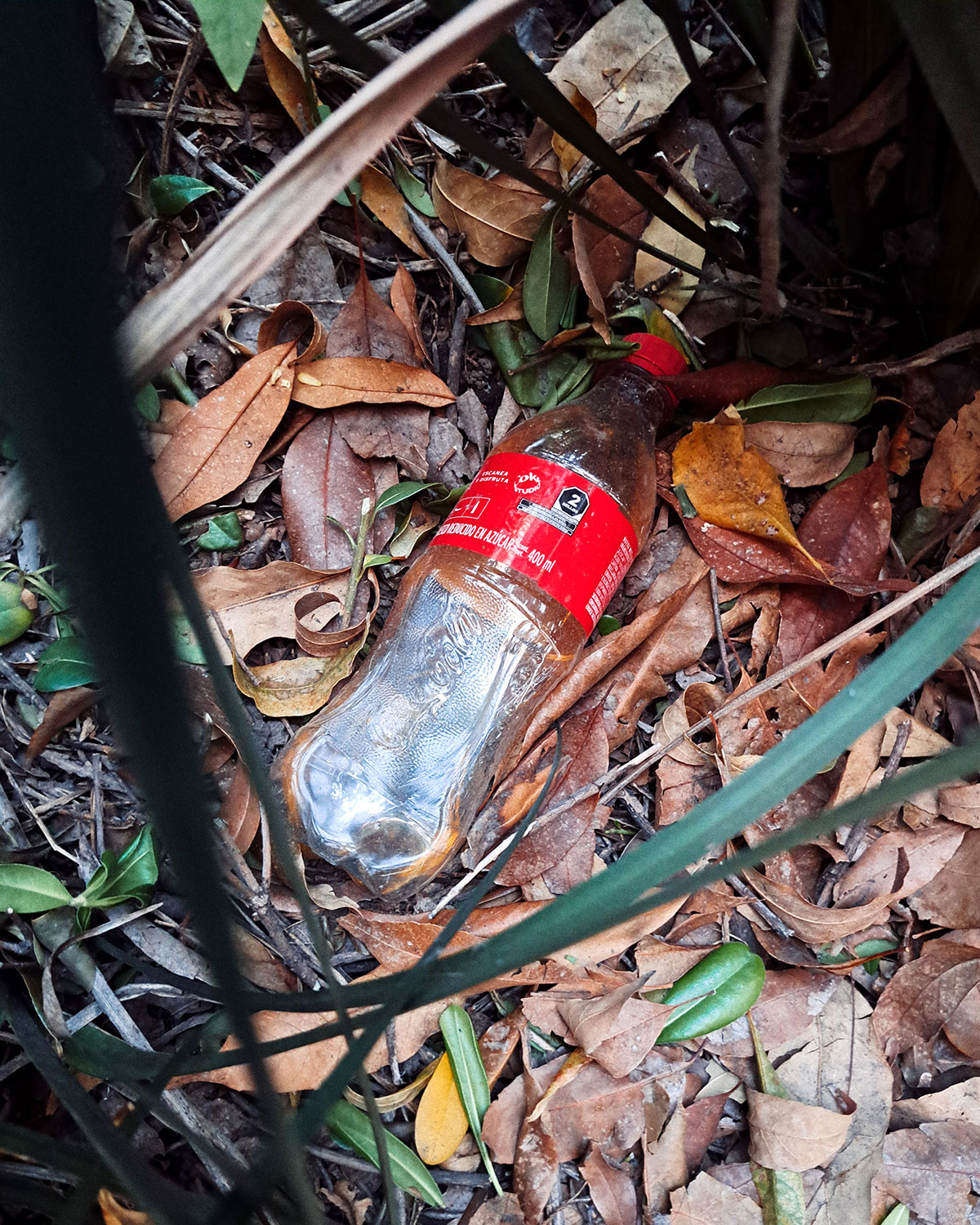 Pee bottles (Ananas)