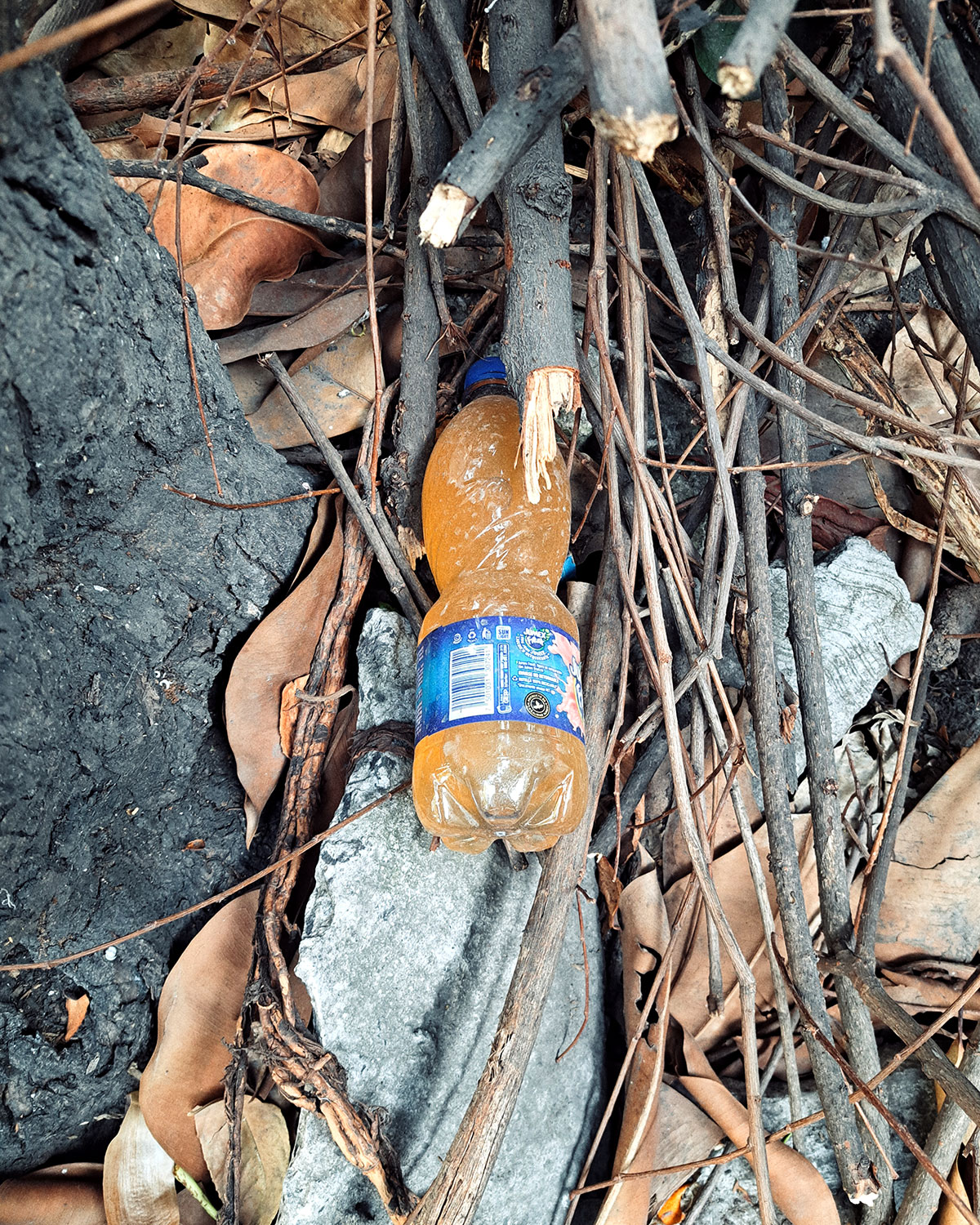 Pee bottles (Ananas)