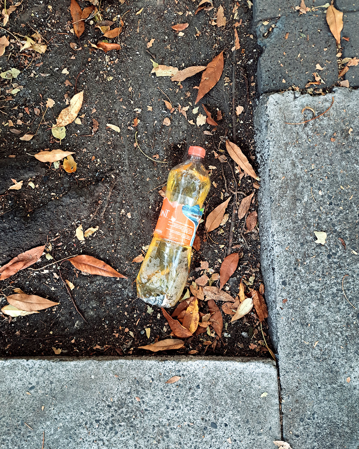 Pee bottles (Ananas)