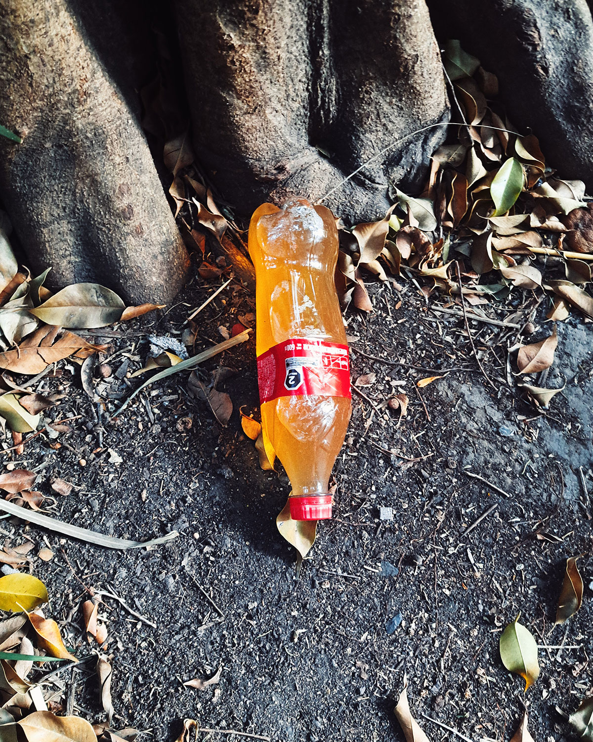 Pee bottles (Ananas)