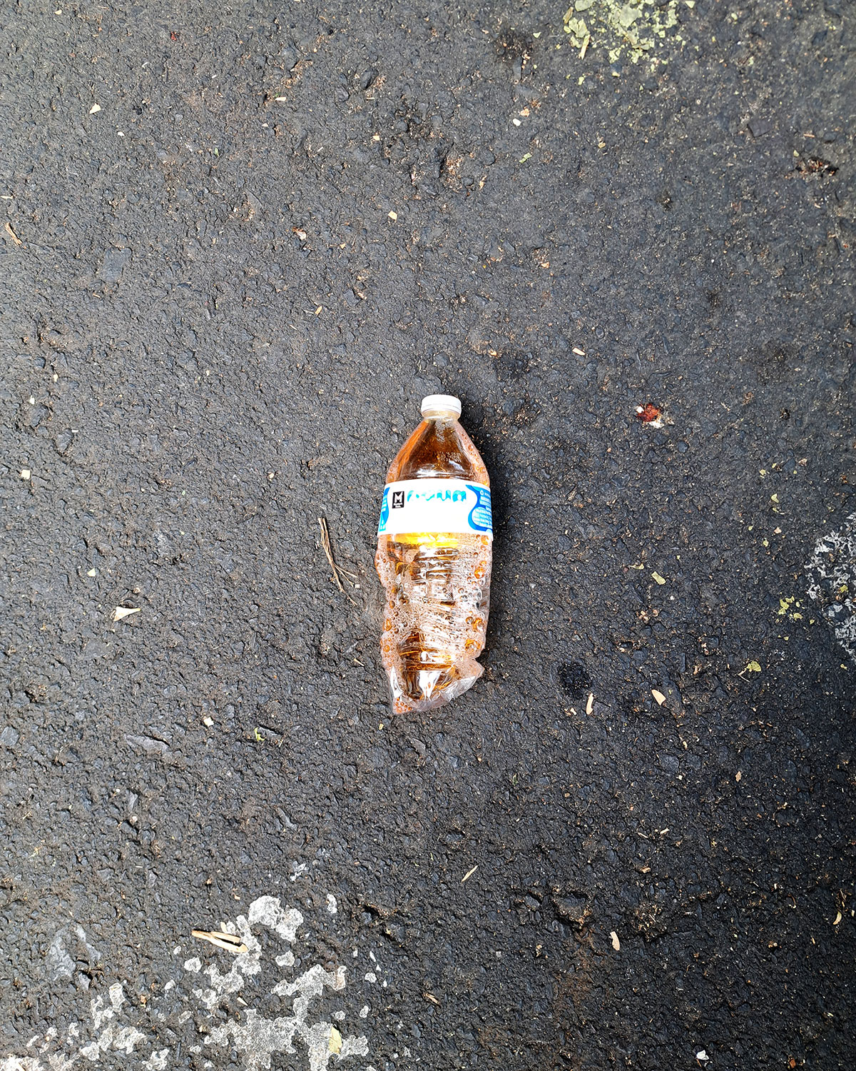Pee bottles (Ananas)