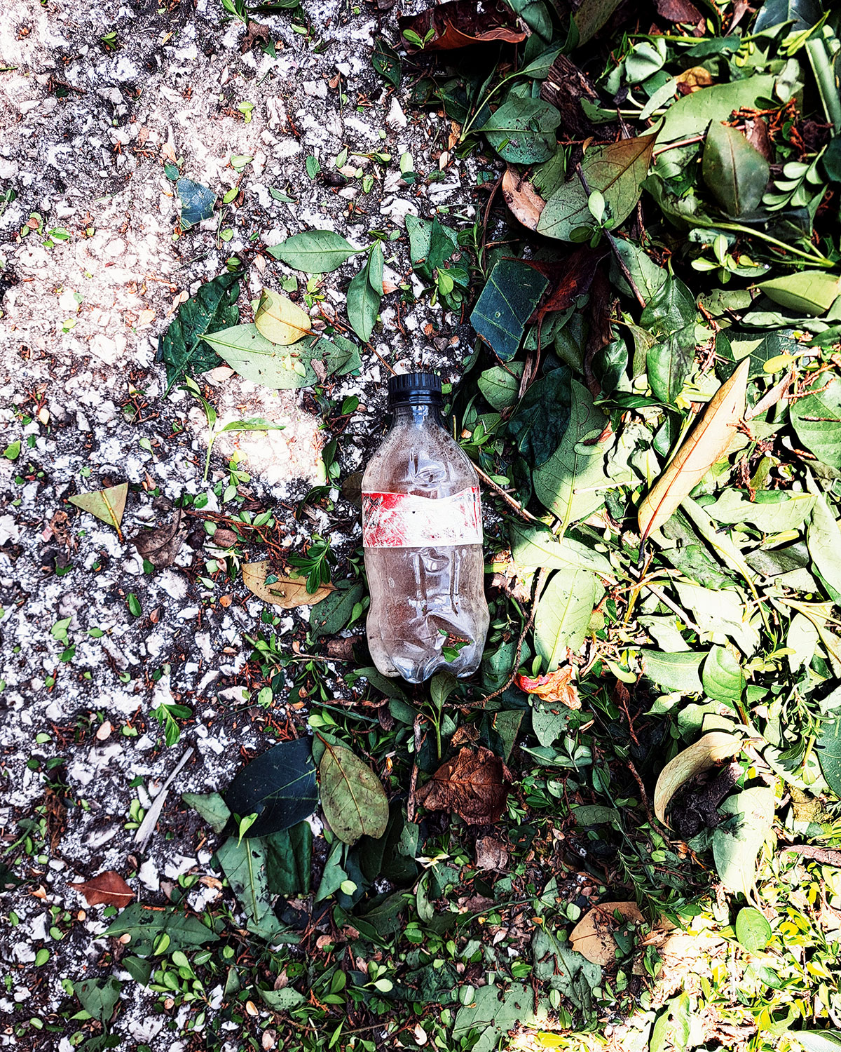 Pee bottles (Ananas)