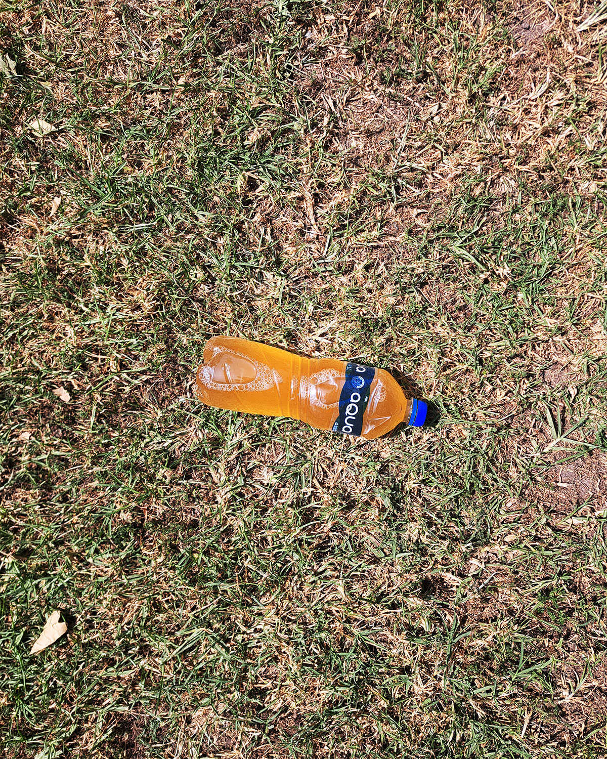 Pee bottles (Ananas)