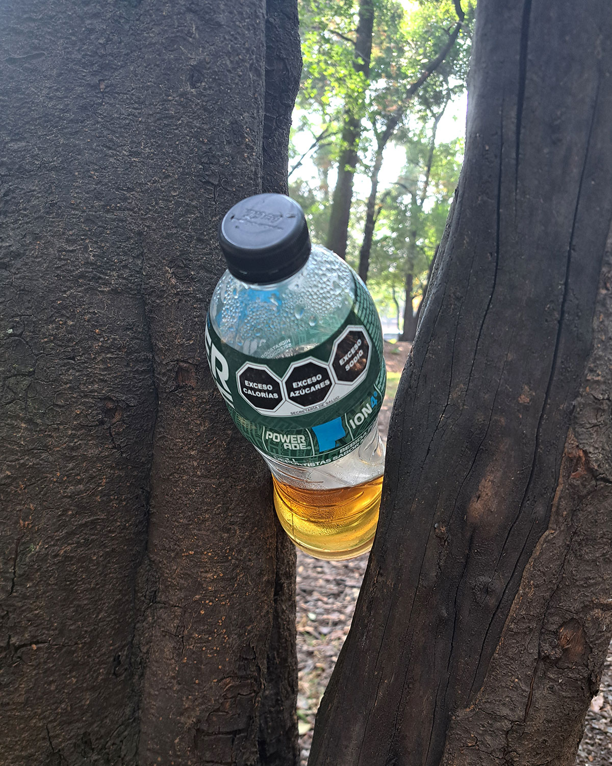 Pee bottles (Ananas)