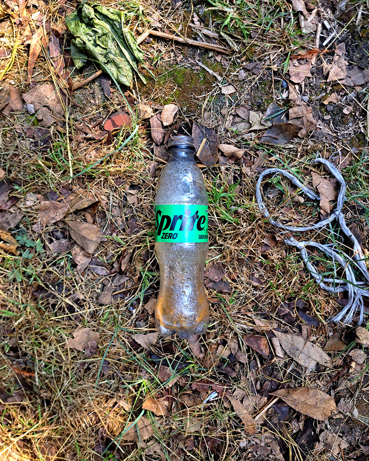 Pee bottles (Ananas)