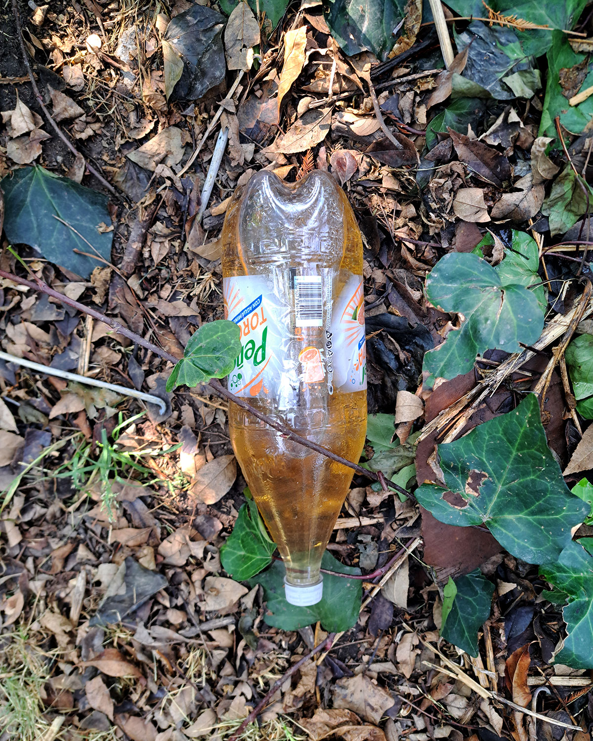 Pee bottles (Ananas)