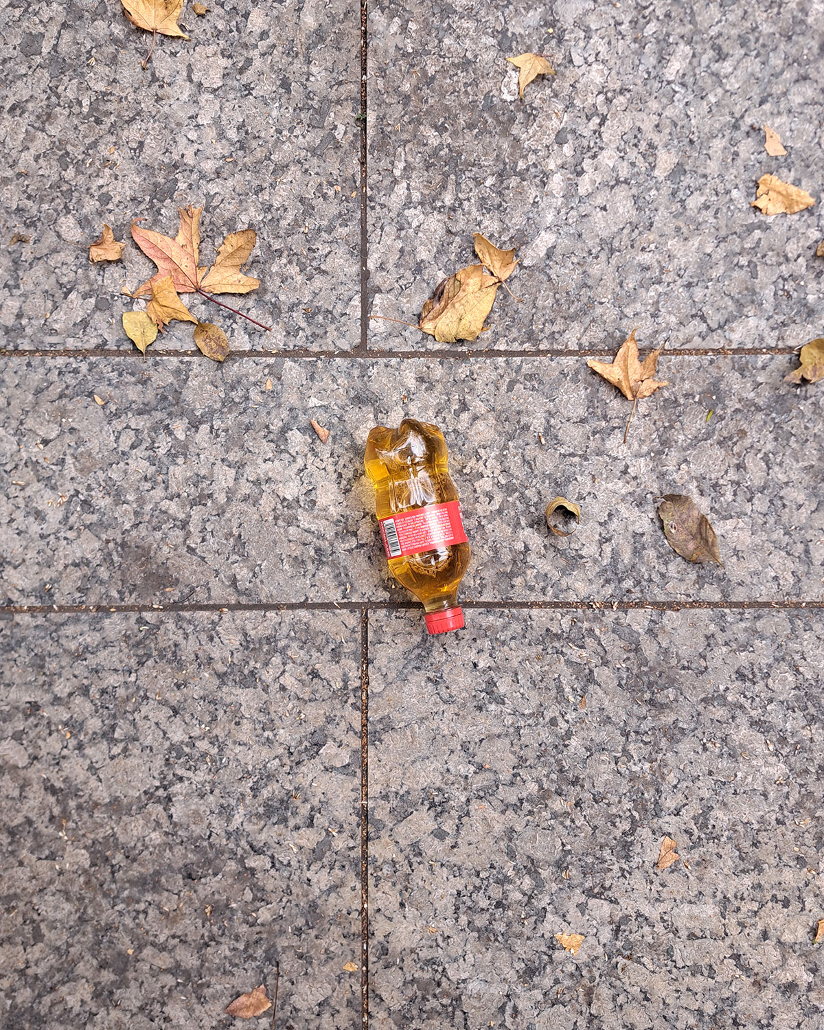 Pee bottles (Ananas)