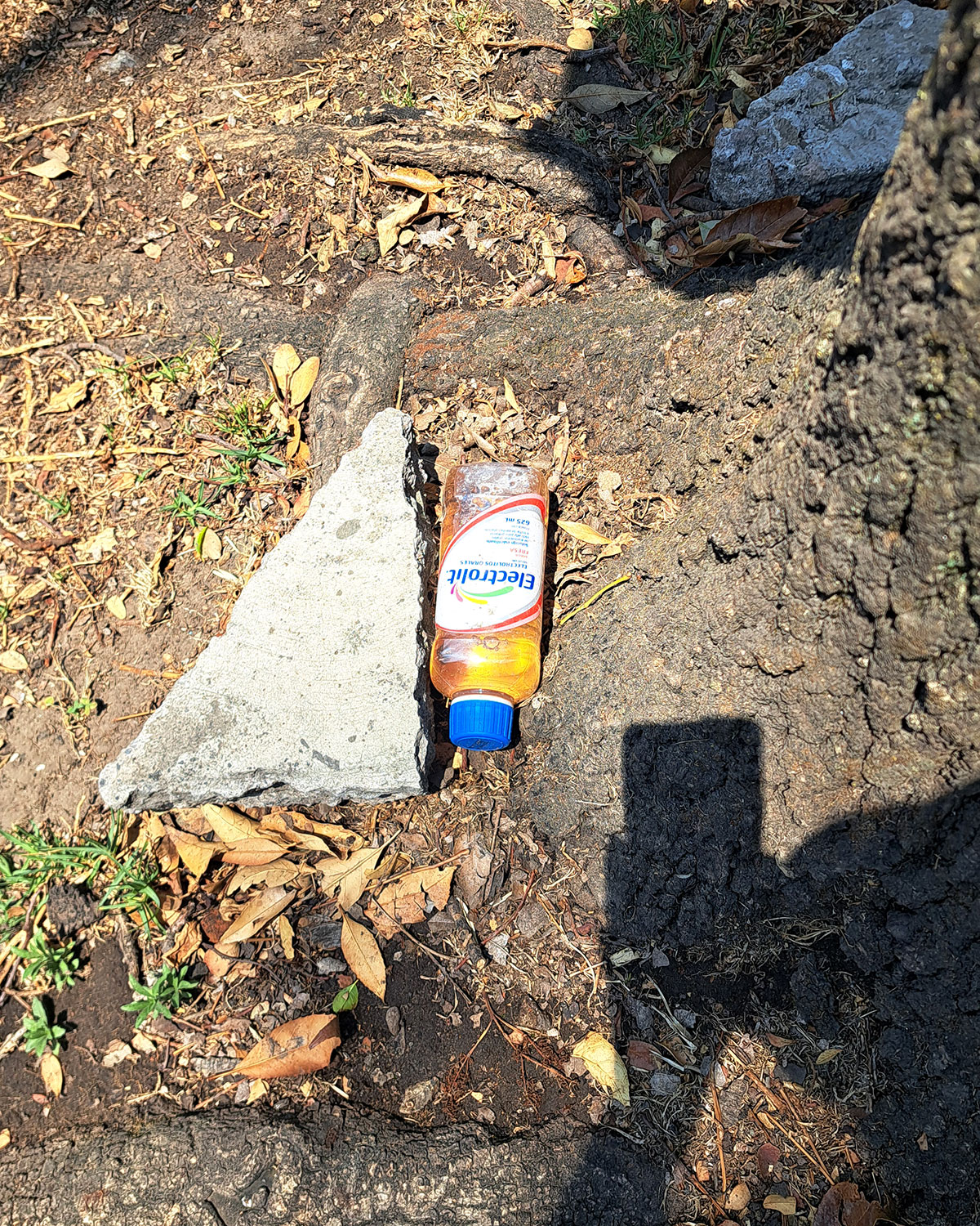 Pee bottles (Ananas)