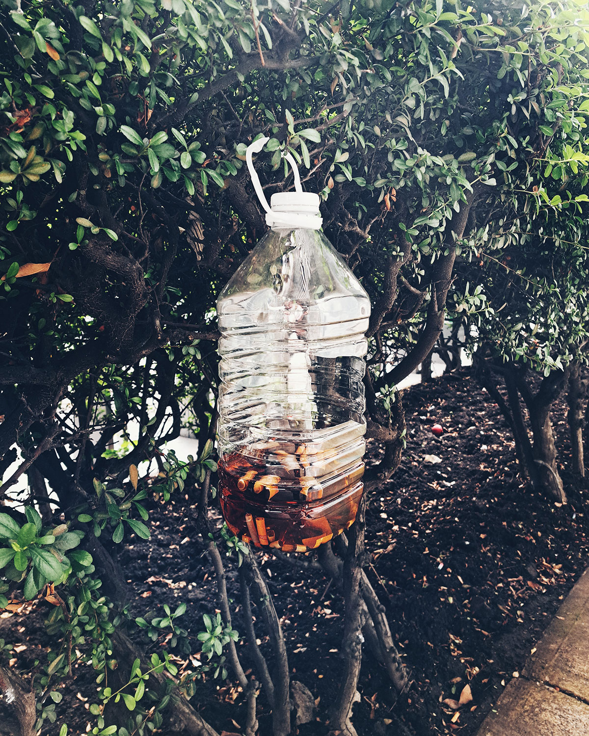 Public DIY ashtrays