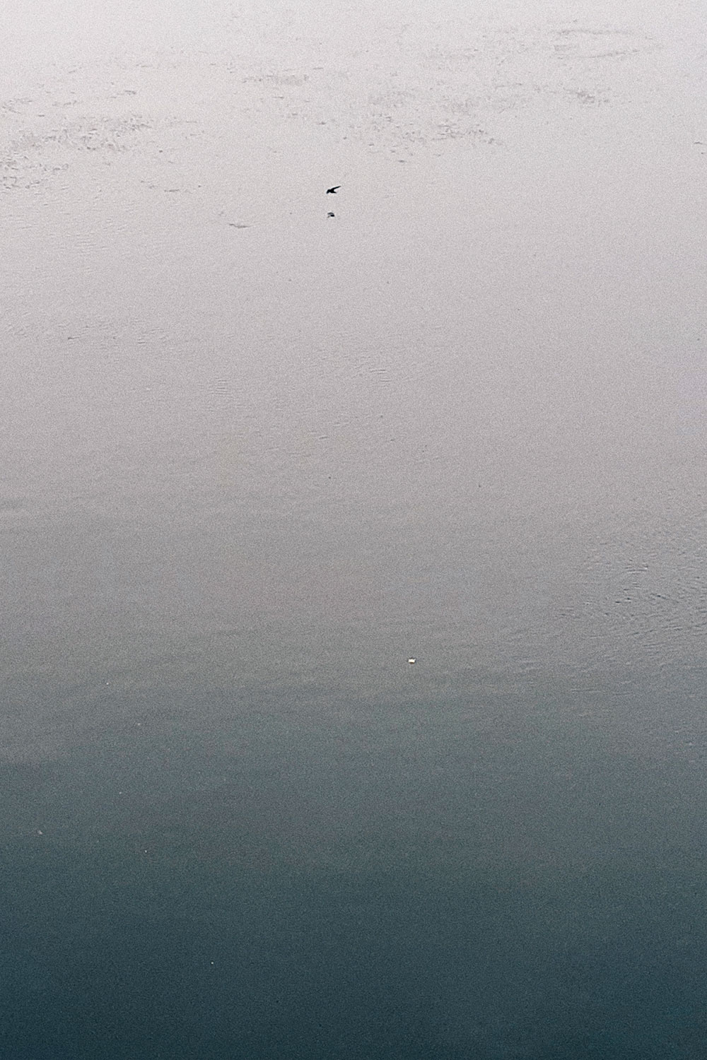 Birdsilveriver