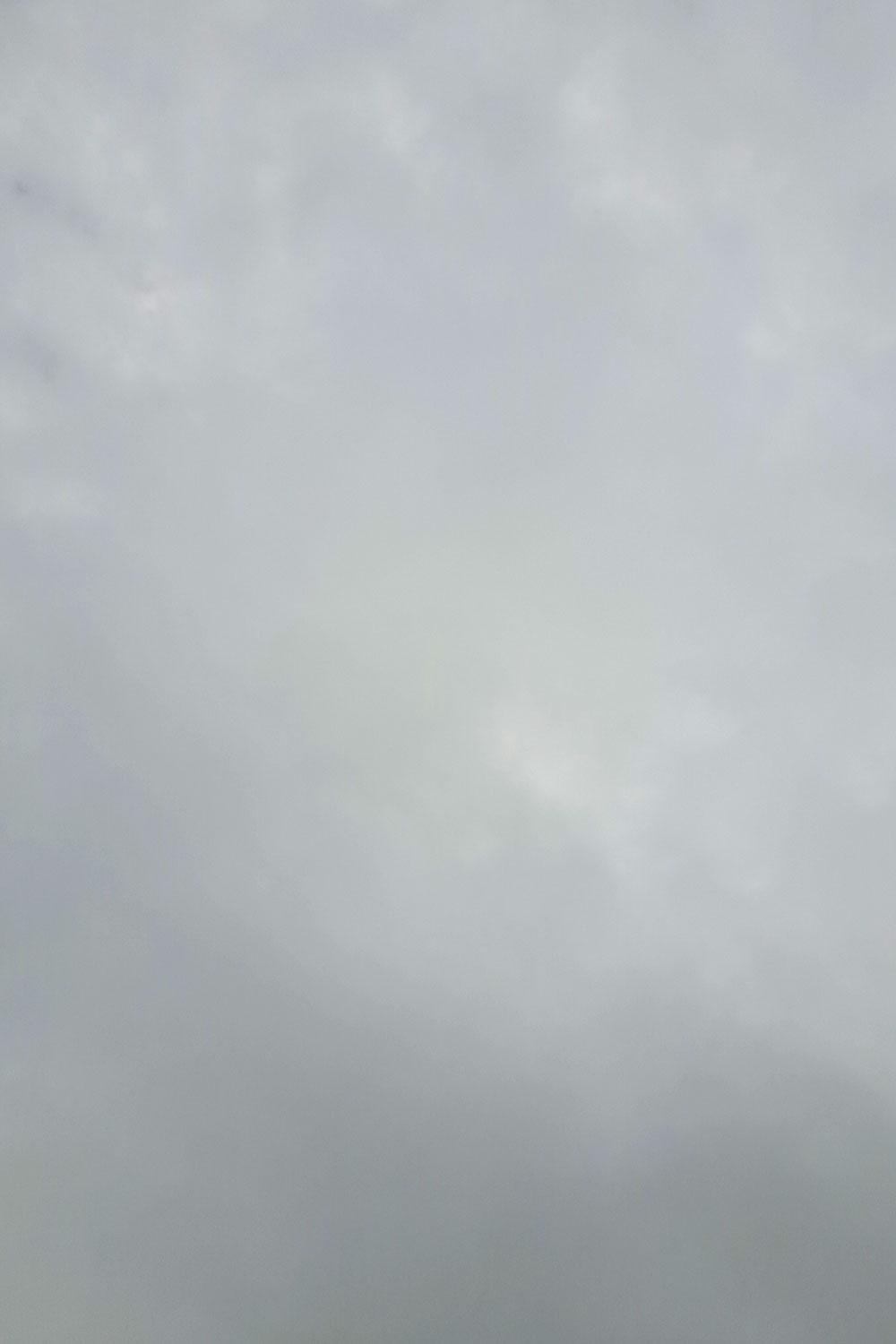 Gray skies