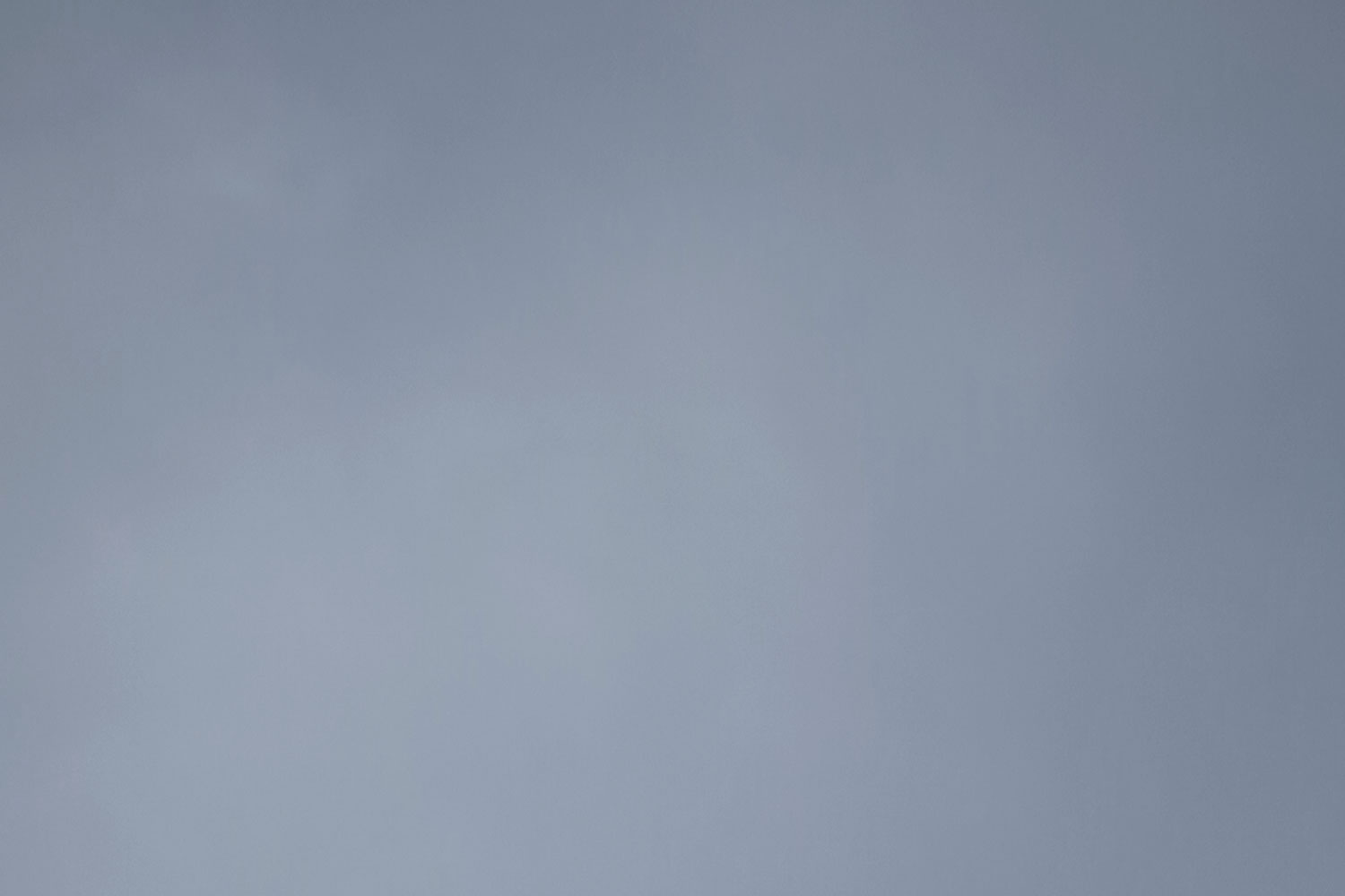 Gray skies