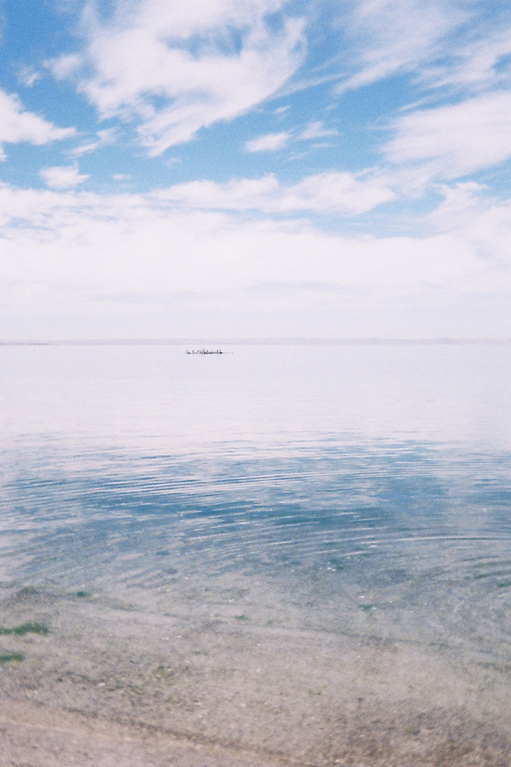 Oceans