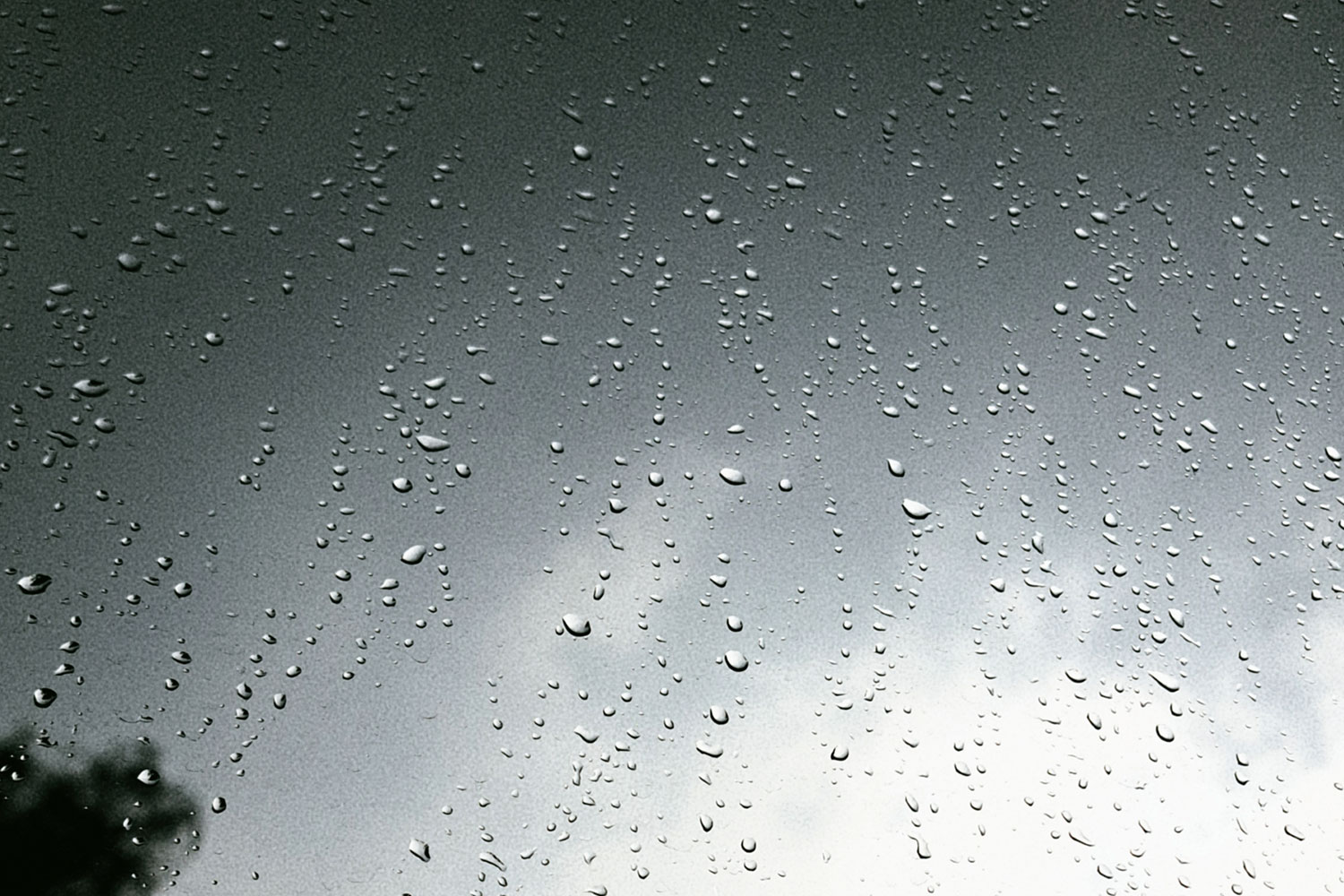Raindrops