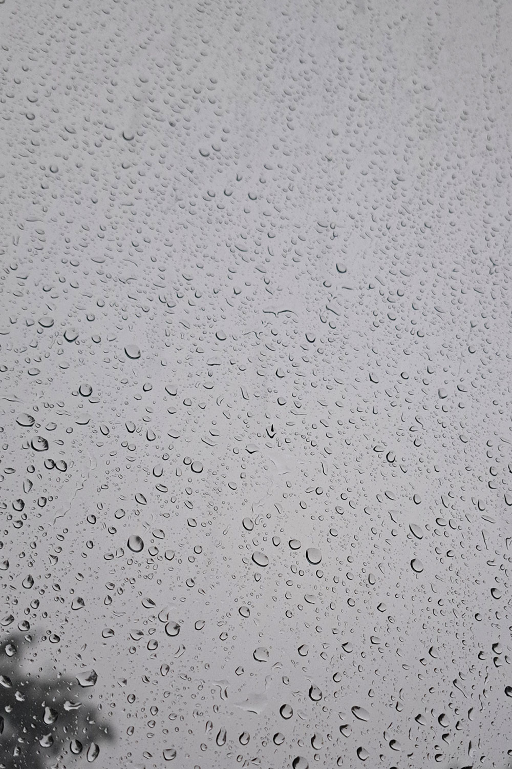 Raindrops