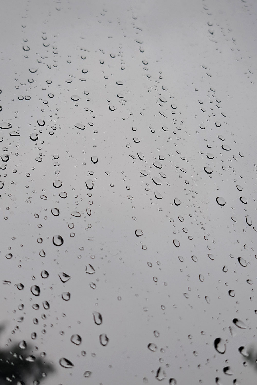 Raindrops