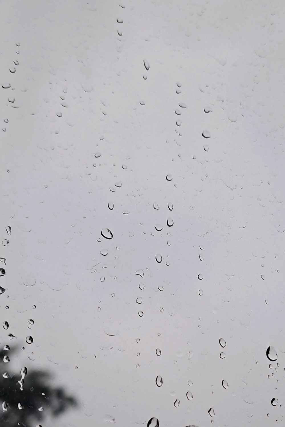 Raindrops